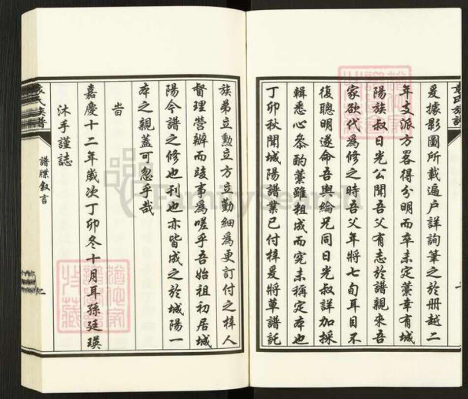 山东省青岛市即墨区南泉镇袁氏思远堂族谱-袁氏族谱.pdf电子版预览图5