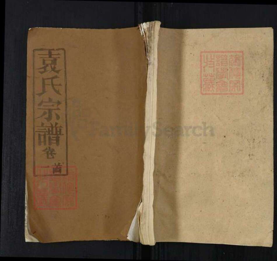 湖北省武汉市新洲区袁氏卧雪堂族谱-袁氏宗谱.pdf电子版缩略图