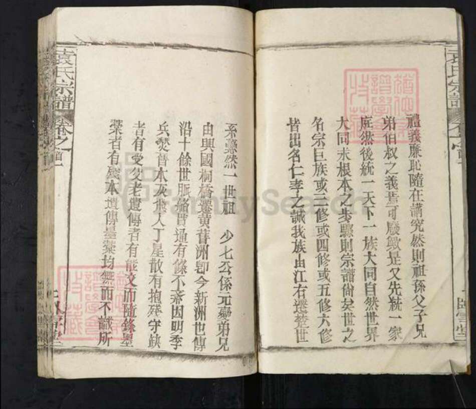 湖北省武汉市新洲区袁氏卧雪堂族谱-袁氏宗谱.pdf电子版预览图2