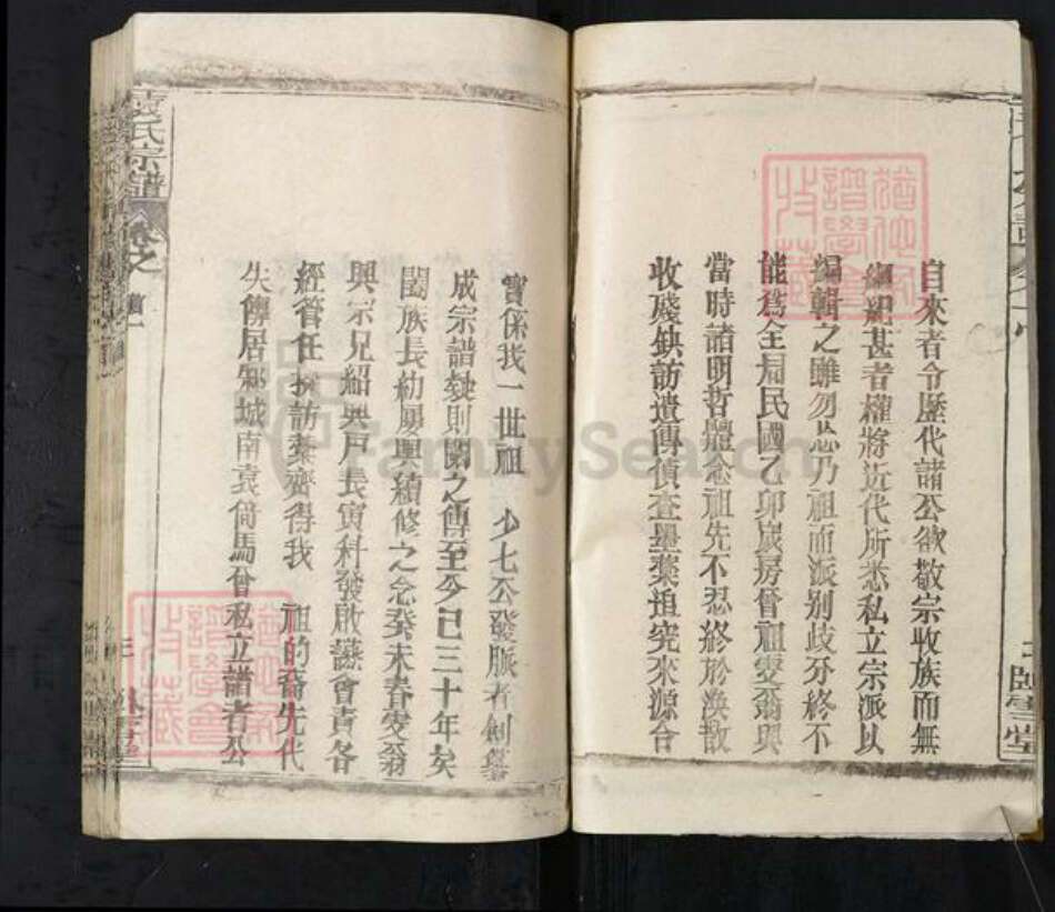 湖北省武汉市新洲区袁氏卧雪堂族谱-袁氏宗谱.pdf电子版预览图3