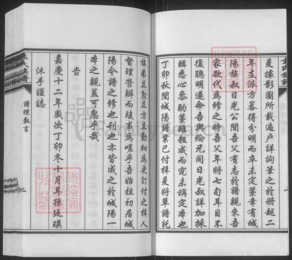 山东省青岛市崂山区袁氏思远堂族谱-袁氏族谱.pdf电子版预览图5