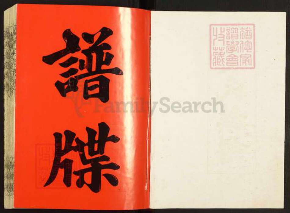 江西省袁氏汝南堂族谱-袁氏合修族谱.pdf电子版预览图2