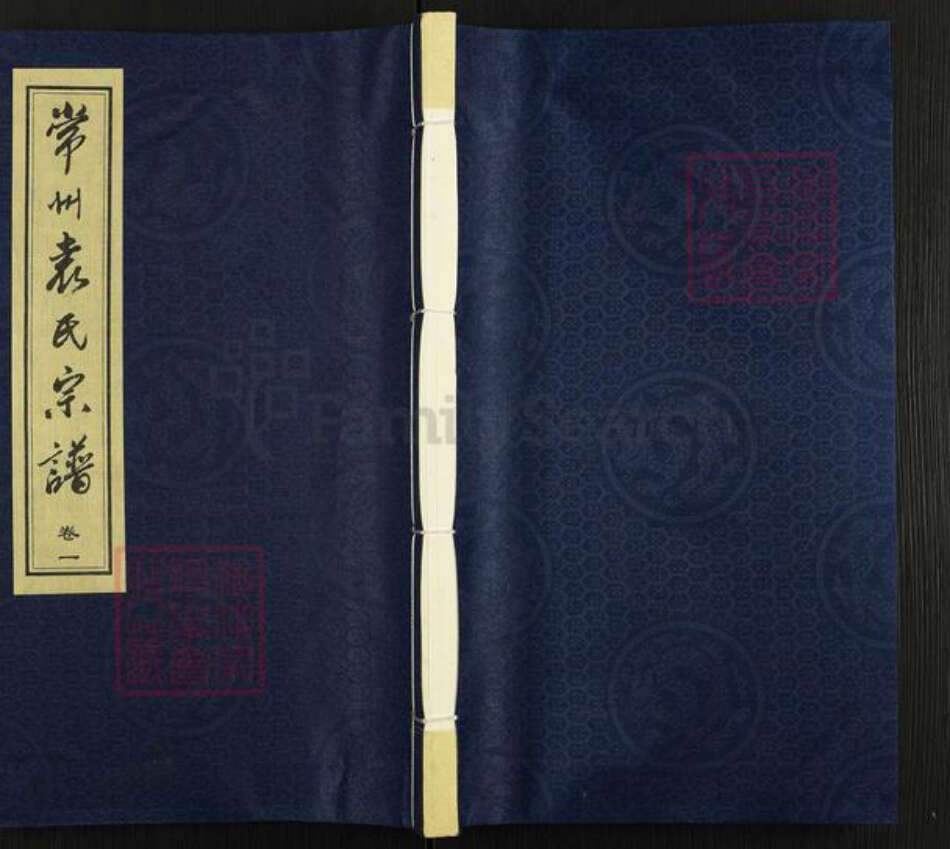 江苏省常州市武进县遥观镇袁氏追远堂族谱-常州袁氏宗谱.pdf电子版缩略图