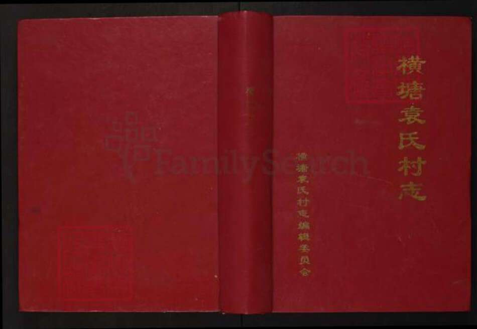 江西省宜春市袁氏族谱-横塘袁氏村志.pdf电子版缩略图