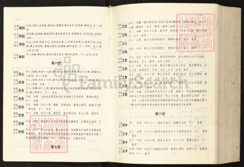 江西省宜春市袁氏族谱-横塘袁氏村志.pdf电子版预览图2