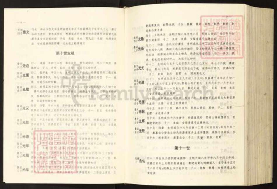 江西省宜春市袁氏族谱-横塘袁氏村志.pdf电子版预览图4