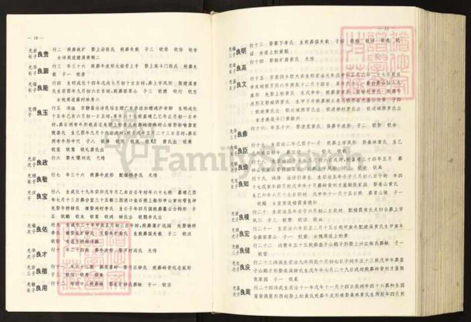 江西省宜春市袁氏族谱-横塘袁氏村志.pdf电子版预览图5