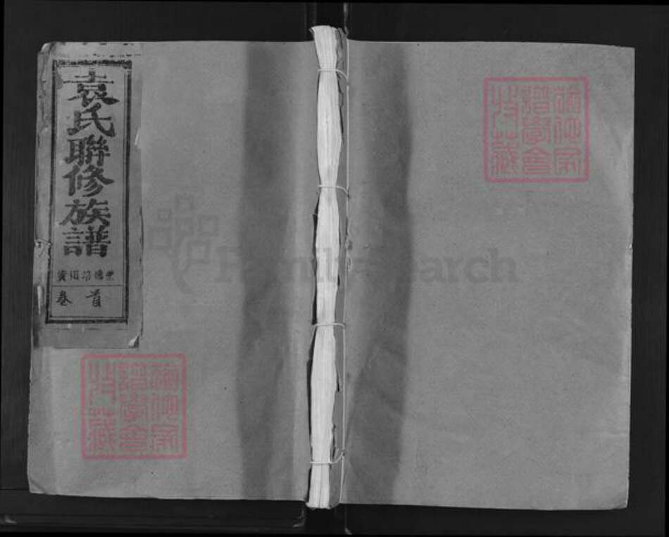 江西省赣州市瑞金市武阳镇袁氏汝南堂族谱-瑞雩寕会兴袁氏联修族谱.pdf电子版缩略图