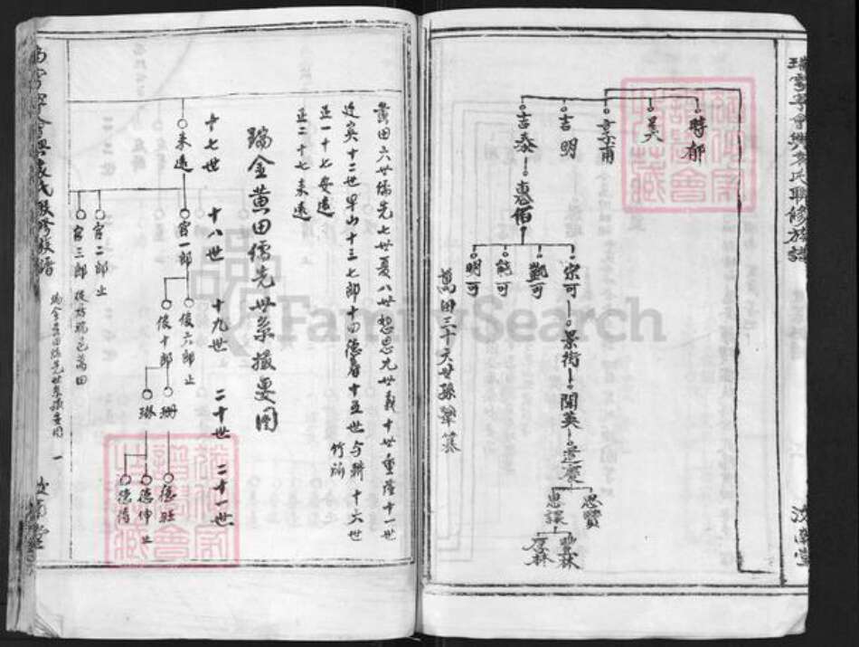 江西省赣州市瑞金市武阳镇袁氏汝南堂族谱-瑞雩寕会兴袁氏联修族谱.pdf电子版预览图4