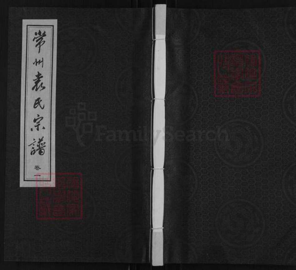 江苏省常州市武进县遥观镇袁氏追远堂族谱-常州袁氏宗谱.pdf电子版缩略图