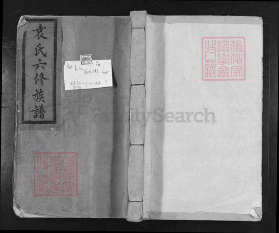 江西省赣州市信丰县安西镇袁氏汝南堂族谱-袁氏六修族谱.pdf电子版缩略图