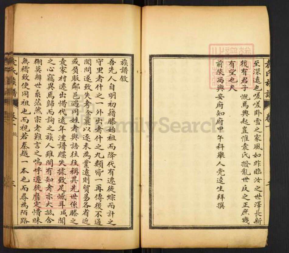 山东省枣庄市滕州市袁氏顺德堂族谱-古滕袁氏族谱.pdf电子版预览图4