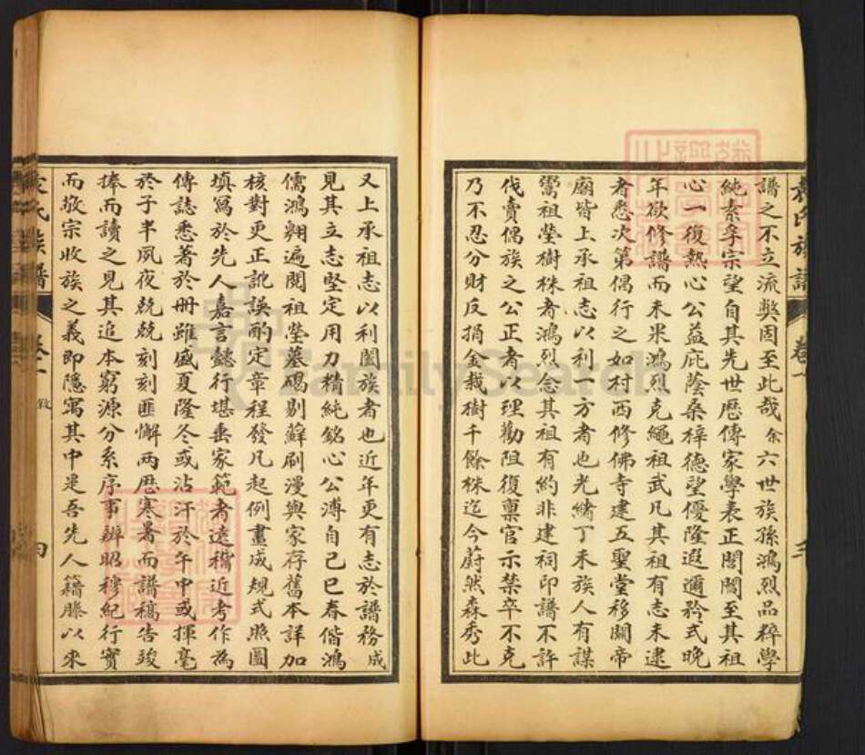 山东省枣庄市滕州市袁氏顺德堂族谱-古滕袁氏族谱.pdf电子版预览图5