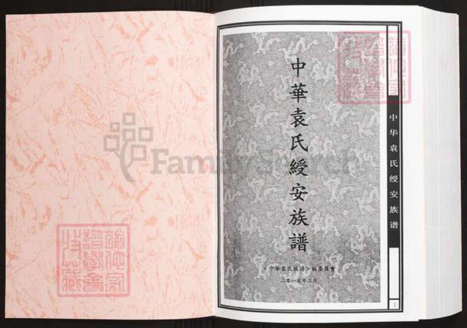 福建省三明市建宁县袁氏恰恰堂族谱-中华袁氏绥安族谱.pdf电子版预览图1