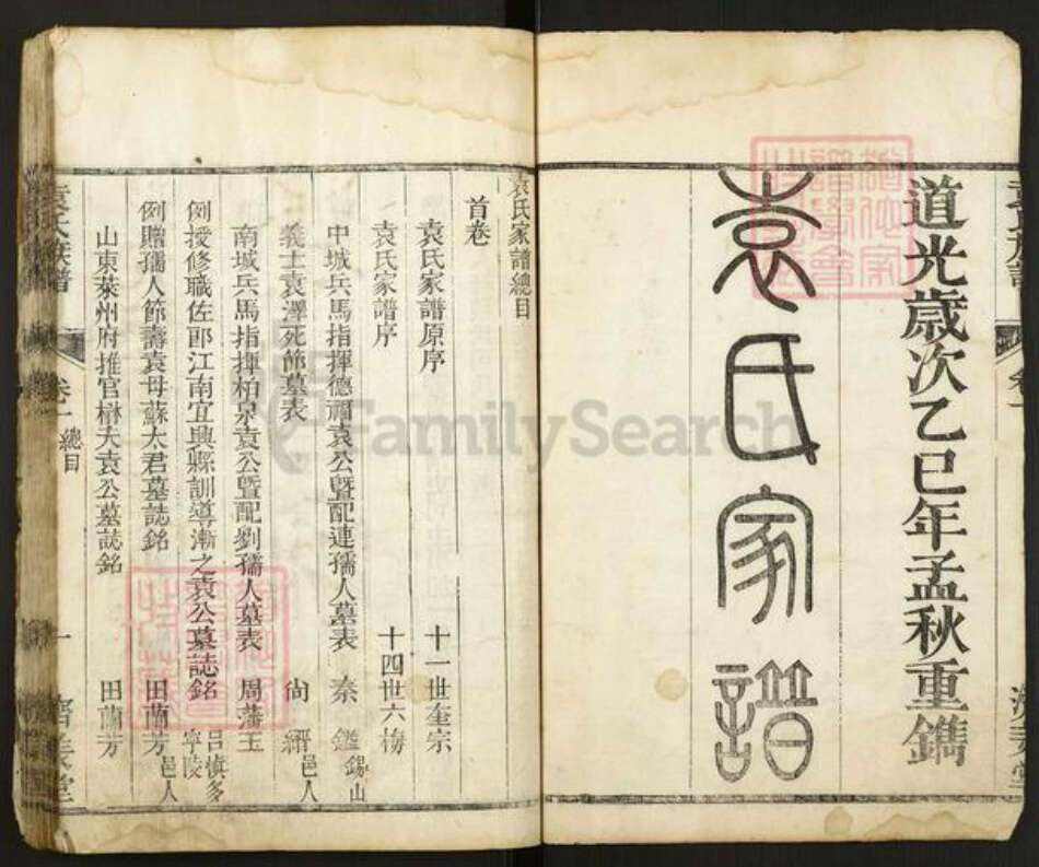 河南省商丘市睢县袁氏济美堂族谱-袁氏族谱.pdf电子版预览图1