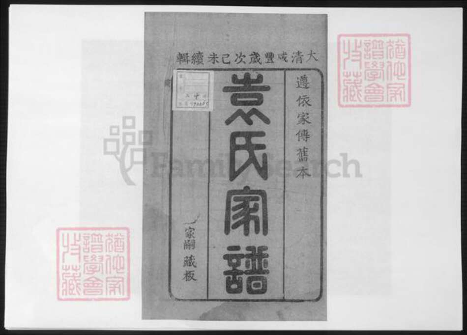 山东省淄博市淄川区袁氏族谱-淄川袁氏家谱.pdf电子版预览图2