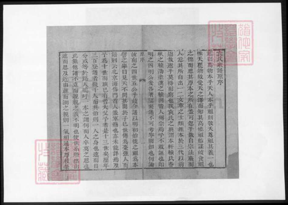 山东省淄博市淄川区袁氏族谱-淄川袁氏家谱.pdf电子版预览图3