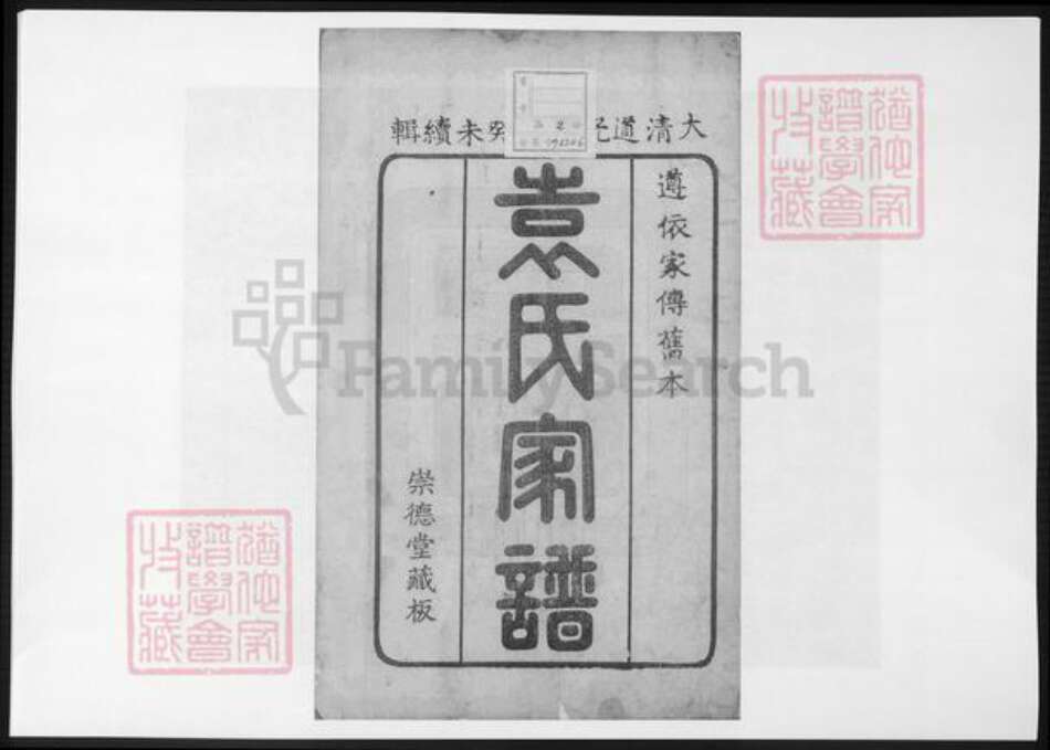 山东省淄博市淄川区袁氏族谱-淄川县袁氏家谱.pdf电子版预览图2