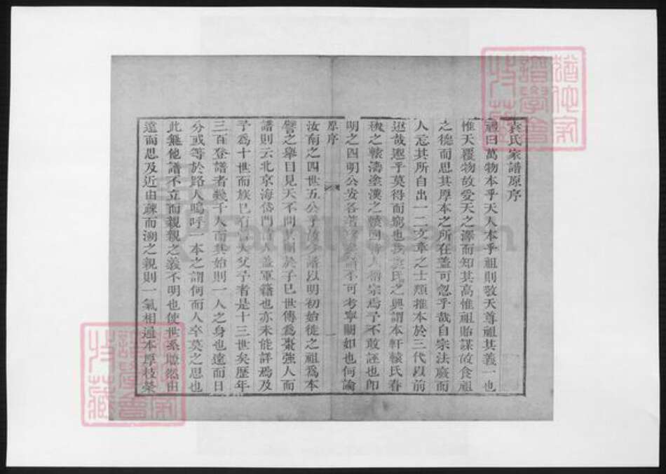 山东省淄博市淄川区袁氏族谱-淄川县袁氏家谱.pdf电子版预览图3