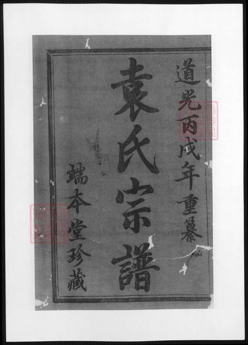 浙江省绍兴诸暨市诸暨袁氏族谱-暨阳袁氏宗谱.pdf电子版缩略图