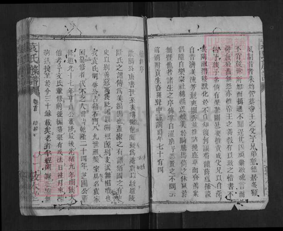 湖南省常德市石门县袁氏族谱-袁氏族谱.pdf电子版预览图2