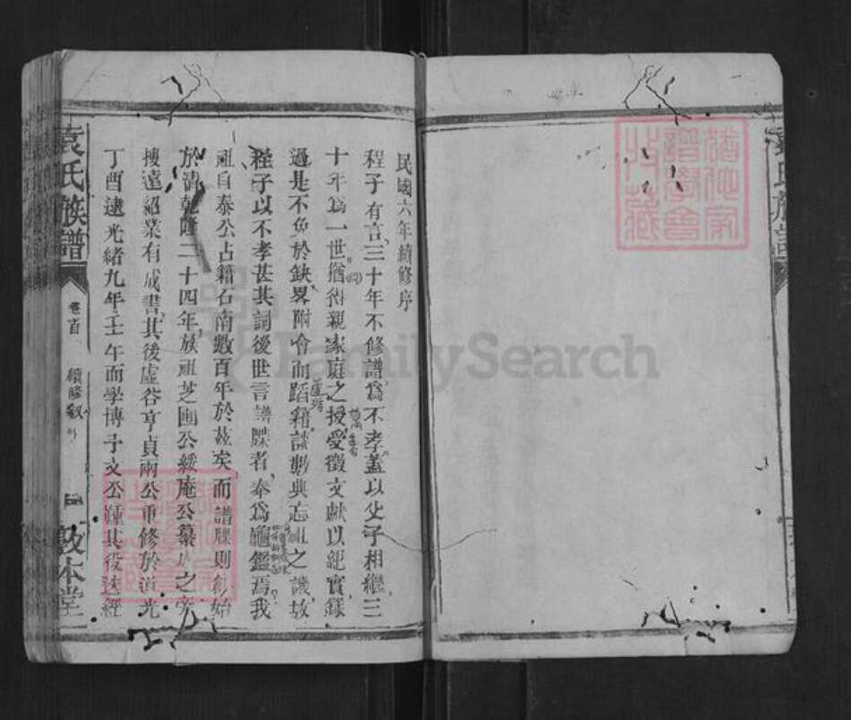 湖南省常德市石门县袁氏族谱-袁氏族谱.pdf电子版预览图4