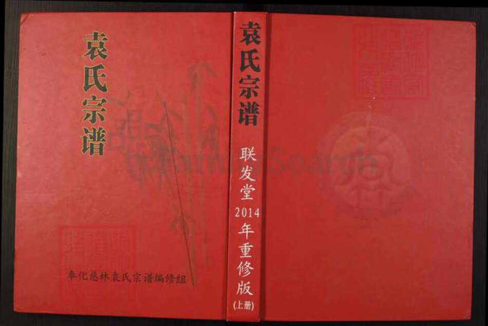 浙江省宁波市奉化区袁氏族谱-袁氏宗谱.pdf电子版缩略图