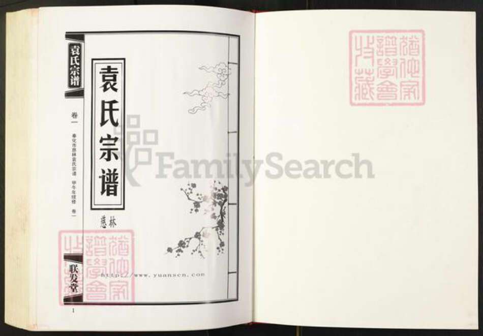 浙江省宁波市奉化区袁氏族谱-袁氏宗谱.pdf电子版预览图1