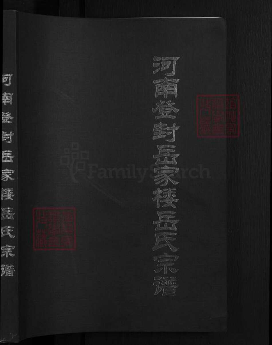 河南省郑州市登封市岳氏族谱-河南登封岳家楼岳氏宗谱.pdf电子版预览图1