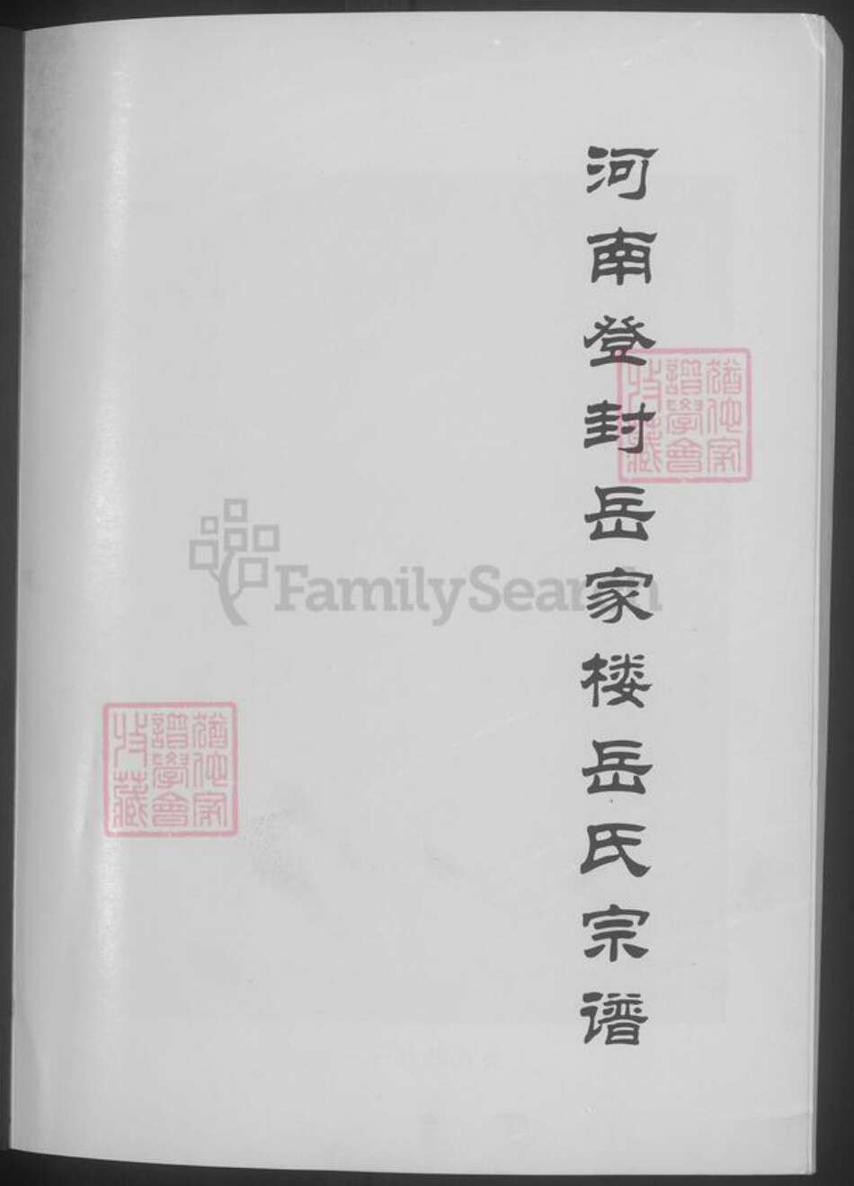 河南省郑州市登封市岳氏族谱-河南登封岳家楼岳氏宗谱.pdf电子版预览图3