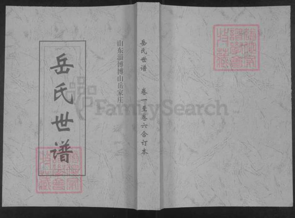 山东省泰安市新泰市岳氏族谱-岳氏世谱.pdf电子版缩略图