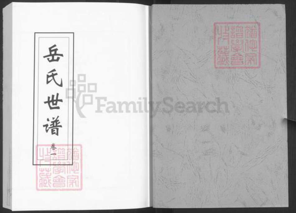 山东省泰安市新泰市岳氏族谱-岳氏世谱.pdf电子版预览图1