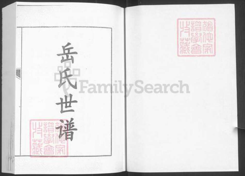 山东省泰安市新泰市岳氏族谱-岳氏世谱.pdf电子版预览图2