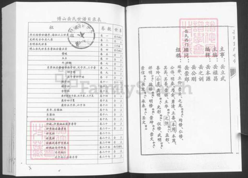 山东省泰安市新泰市岳氏族谱-岳氏世谱.pdf电子版预览图3