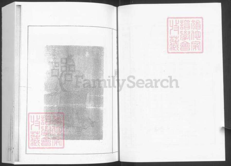 山东省泰安市新泰市岳氏族谱-岳氏世谱.pdf电子版预览图4