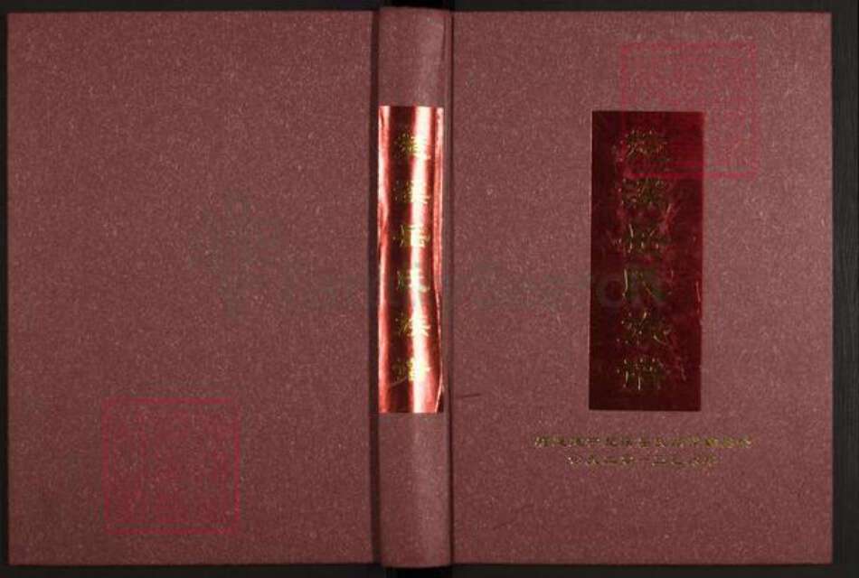 福建省三明市建宁县西苑乡岳氏冯翊堂族谱-楚溪岳氏族谱.pdf电子版缩略图