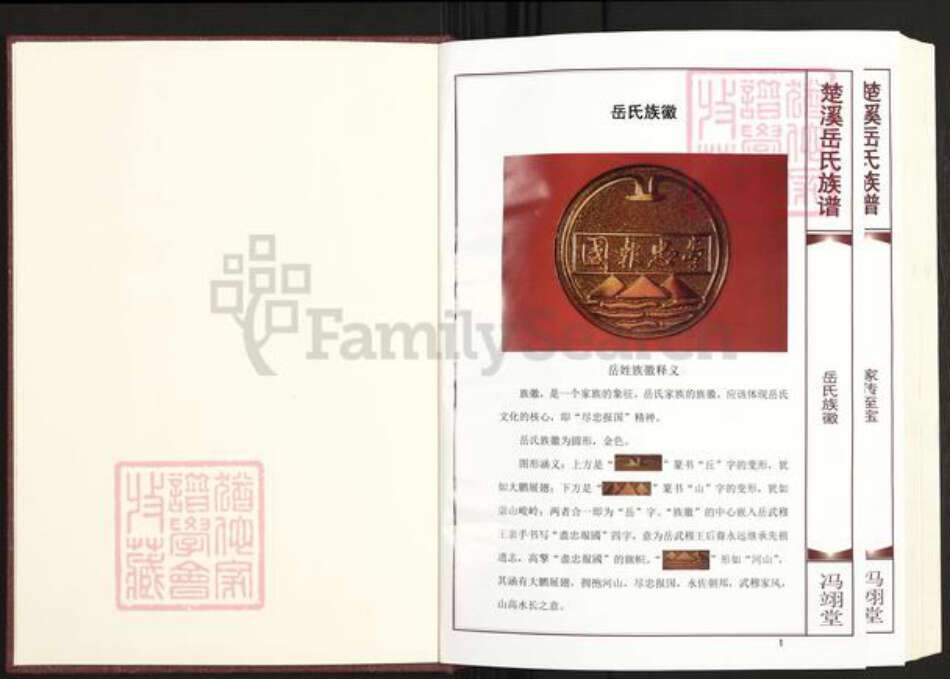 福建省三明市建宁县西苑乡岳氏冯翊堂族谱-楚溪岳氏族谱.pdf电子版预览图2