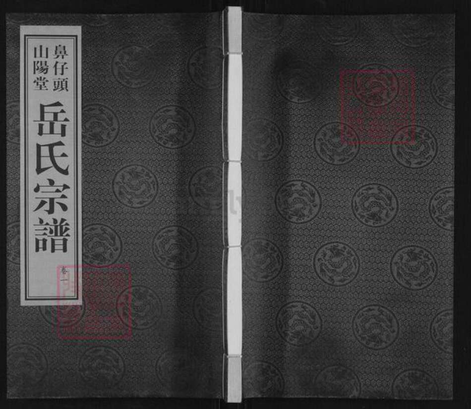 福建省宁德市霞浦县溪南镇岳氏山阳堂族谱-山阳堂鼻仔头岳氏宗谱.pdf电子版缩略图