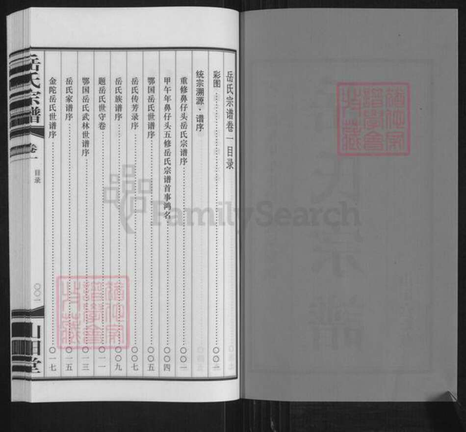 福建省宁德市霞浦县溪南镇岳氏山阳堂族谱-山阳堂鼻仔头岳氏宗谱.pdf电子版预览图2