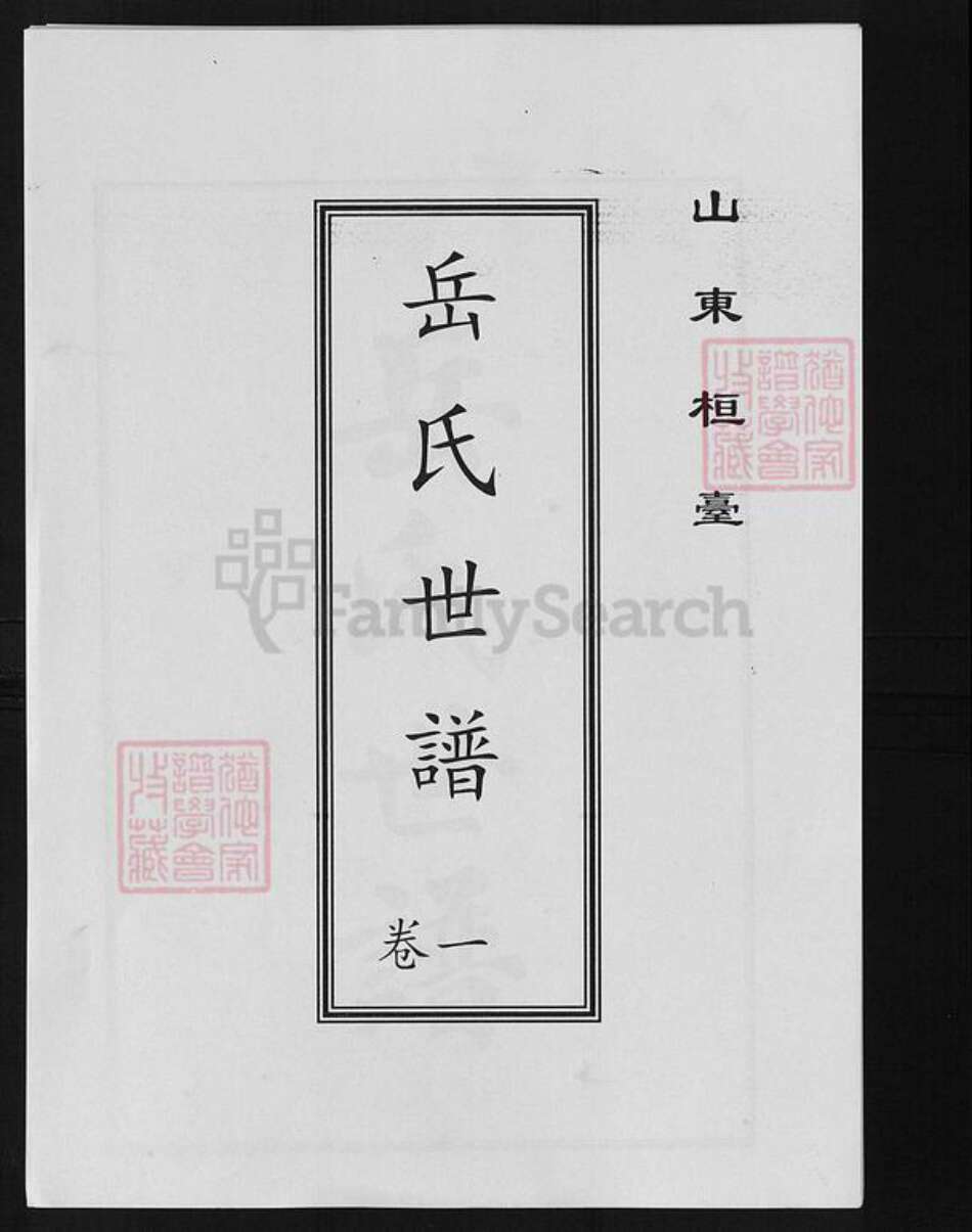 山东省淄博市桓台县岳氏族谱-岳氏世谱.pdf电子版缩略图