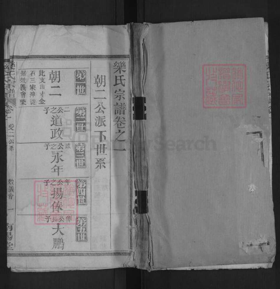 湖北省黄冈市英山县乐氏南阳堂族谱-乐氏宗谱.pdf电子版缩略图