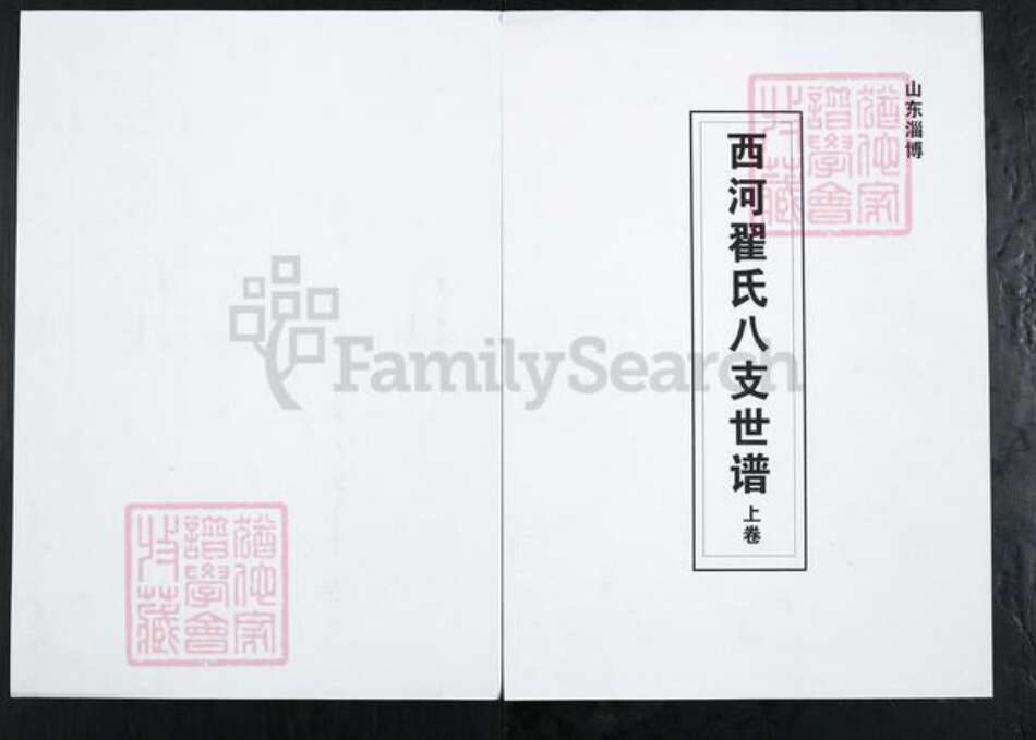 山东省淄博市博山区翟氏族谱-西河翟氏八支世谱.pdf电子版缩略图