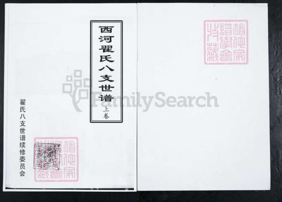 山东省淄博市博山区翟氏族谱-西河翟氏八支世谱.pdf电子版预览图1