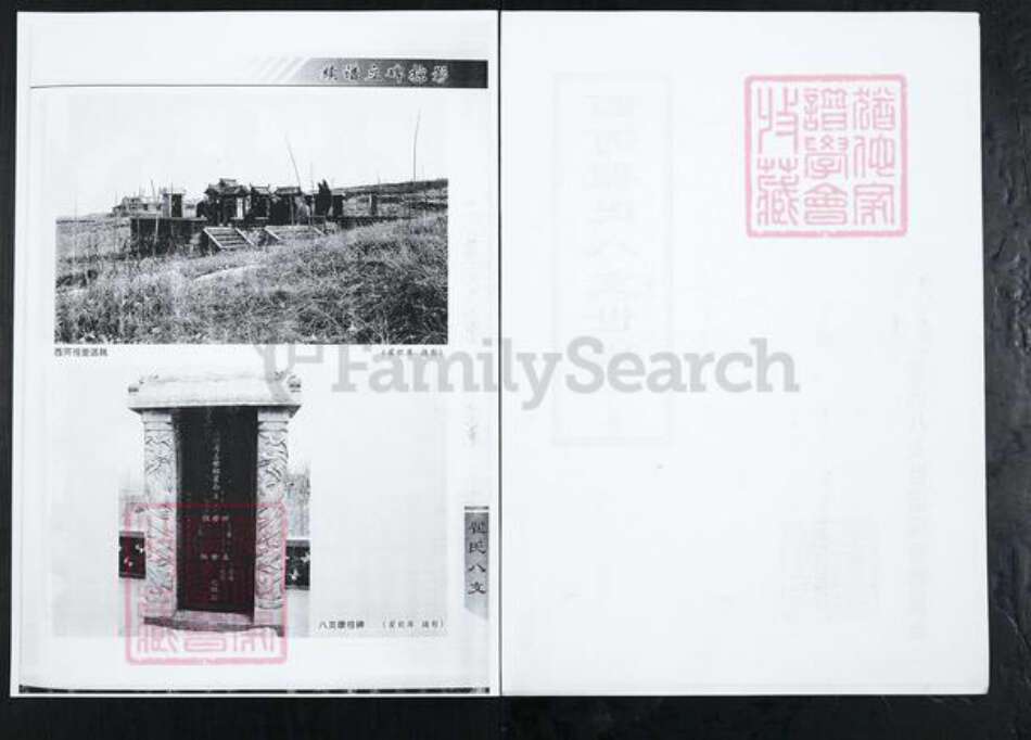 山东省淄博市博山区翟氏族谱-西河翟氏八支世谱.pdf电子版预览图2