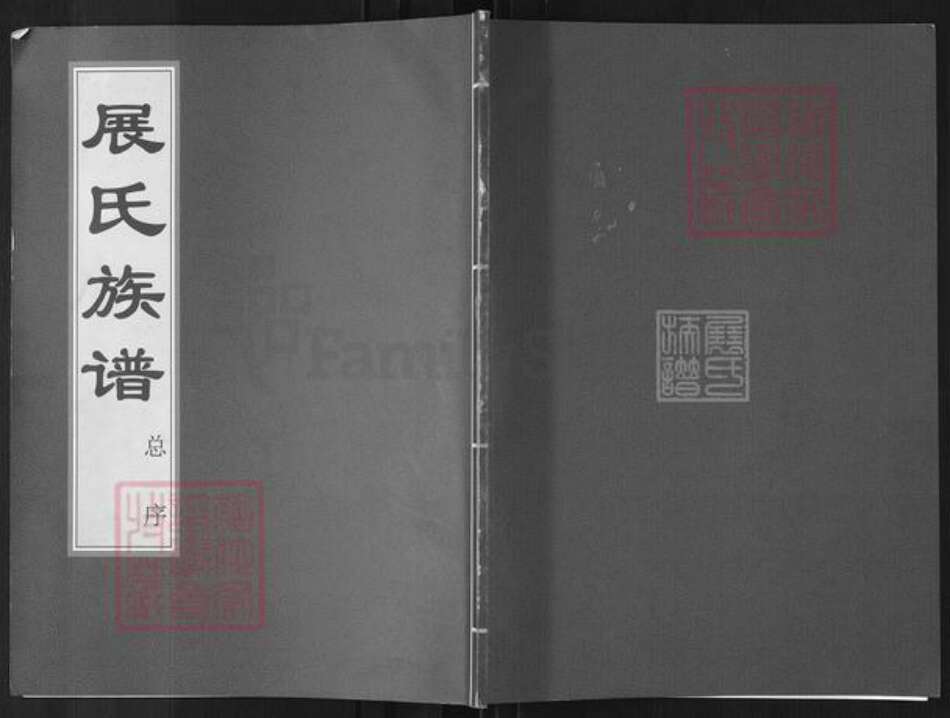 山东省济南市平阴县孝直镇展氏族谱-展氏族谱.pdf电子版缩略图