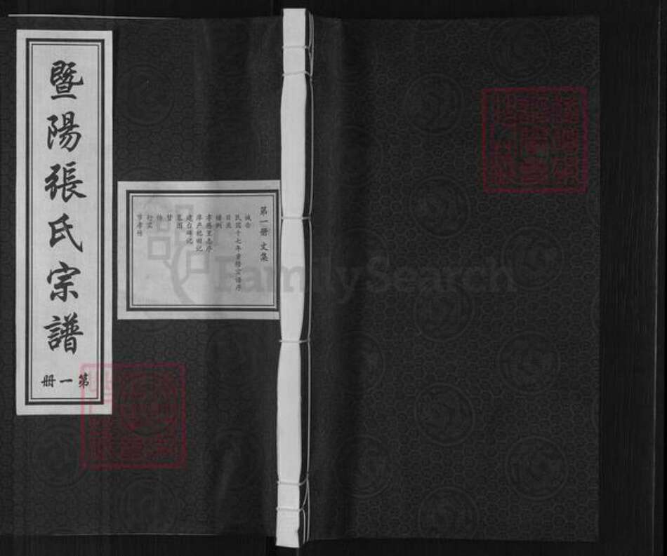 浙江省绍兴诸暨市诸暨张氏敦伦堂族谱-暨阳张氏宗谱.pdf电子版缩略图