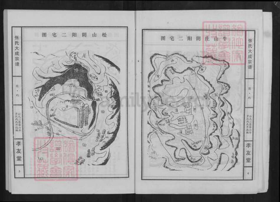 湖北省黄石市大冶市张氏孝友堂族谱-张氏大成宗谱.pdf电子版预览图3