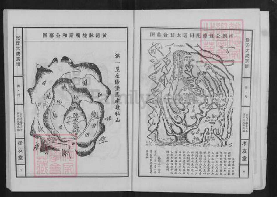 湖北省黄石市大冶市张氏孝友堂族谱-张氏大成宗谱.pdf电子版预览图4