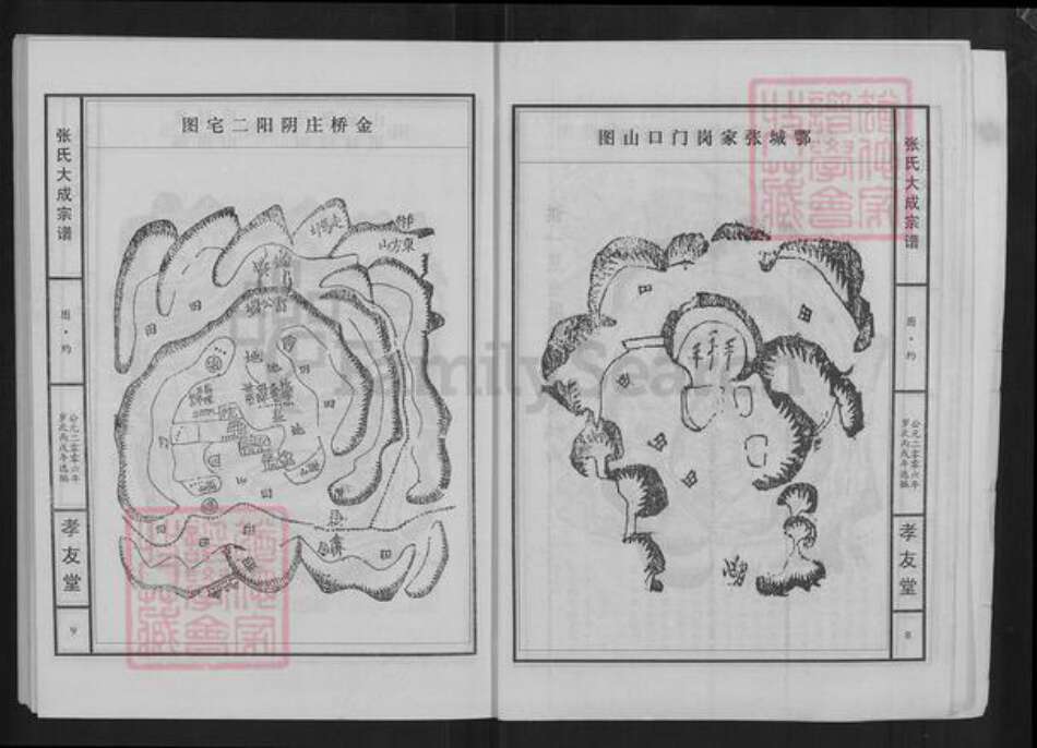 湖北省黄石市大冶市张氏孝友堂族谱-张氏大成宗谱.pdf电子版预览图5