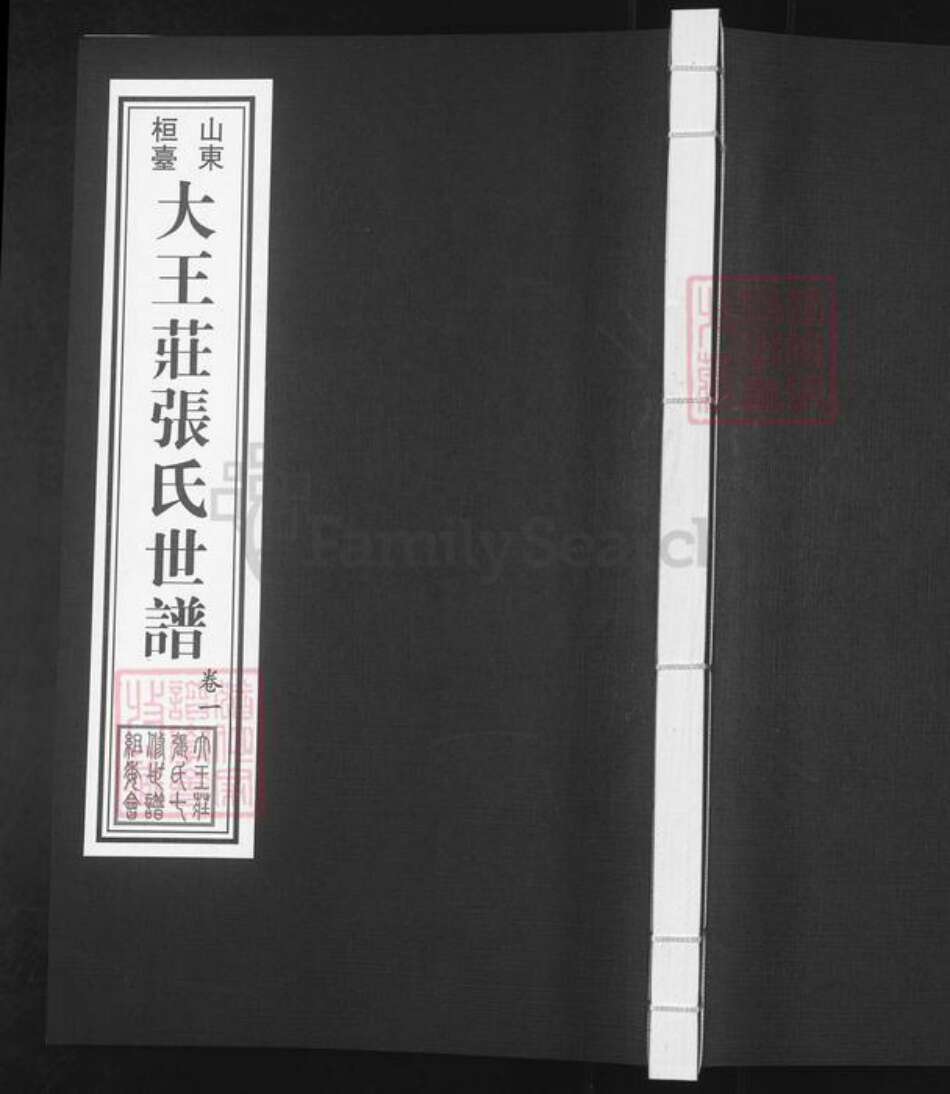 山东省淄博市桓台县新城镇张氏族谱-山东桓台大王庄张氏世谱.pdf电子版缩略图